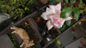 DSC05487.JPG