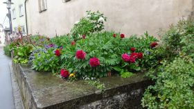 DSC03689.JPG